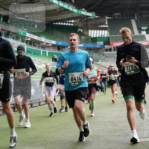 05.10.2025 - 20. swb-Marathon Bremen Michael Burmester http://msf.ph/oto/9331159 05.10.2025 13:03:35 Laufen im Stadion 227, 375, 396, 527, 592, 725, 764, 958, 1067, 1178, 1275, 1331, 1336, 1425, 1469, 1507, 1514, 1568, 1670, 1705, 1836, 1975, 2016, 2339, 2357, 2375, 2407, 2567, 2597, 2696, 2791, 2960, 2984, 3019, 3037, 3147, 3313, 4026, 4053, 4087, 4321, 4453, 4462, 4528, 4651, 4767, 4769, 5043, 5162, 5236, 5410, 5431, 5489, 5523, 5527, 5763, 5867, 5966, 6138, 6145, 6215, 6414, 6417, 6447, 6481, 6529, 6584, 6635, 6666, 7315, 7316, 7540, 7607, 7653, 8375, 293, 721, 1121, 1733, 2393, 3424 meine-sportfotos.de