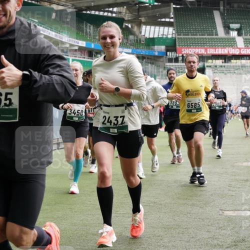 05.10.2025 - 20. swb-Marathon Bremen Michael Burmester http://msf.ph/oto/9331788 05.10.2025 13:05:35 Laufen im Stadion 190, 199, 406, 520, 611, 678, 712, 804, 817, 858, 924, 1147, 1228, 1404, 1410, 1455, 1480, 1545, 1610, 1702, 1746, 1765, 1840, 1867, 1990, 2058, 2187, 2190, 2198, 2422, 2437, 2584, 2604, 2671, 2785, 2902, 2935, 3008, 3025, 3049, 3216, 3317, 3368, 3378, 3380, 3445, 3450, 3479, 3799, 3809, 3837, 3853, 4055, 4207, 4326, 4332, 4376, 4563, 4641, 4665, 4676, 4766, 4831, 4855, 4892, 4904, 4983, 5166, 5176, 5295, 5362, 5382, 5614, 5824, 5904, 5945, 6283 meine-sportfotos.de
