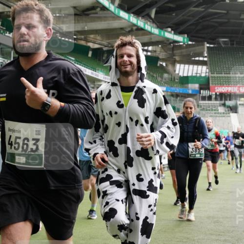 05.10.2025 - 20. swb-Marathon Bremen Michael Burmester http://msf.ph/oto/9331885 05.10.2025 13:05:42 Laufen im Stadion 190, 199, 406, 459, 520, 611, 678, 804, 817, 858, 924, 1023, 1147, 1154, 1228, 1283, 1404, 1410, 1455, 1480, 1545, 1610, 1702, 1840, 1867, 1990, 2058, 2187, 2190, 2198, 2199, 2285, 2422, 2437, 2604, 2671, 2698, 2748, 2785, 2902, 2919, 2935, 3025, 3049, 3317, 3368, 3378, 3380, 3450, 3479, 3799, 3809, 3837, 3853, 4055, 4207, 4326, 4332, 4376, 4563, 4641, 4643, 4665, 4676, 4766, 4831, 4855, 4892, 4904, 4983, 5166, 5176, 5362, 5382, 5614, 5693, 5824, 5904, 5945, 6283 meine-sportfotos.de