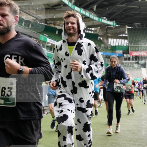 05.10.2025 - 20. swb-Marathon Bremen Michael Burmester http://msf.ph/oto/9331889 05.10.2025 13:05:42 Laufen im Stadion 190, 199, 406, 459, 520, 611, 678, 804, 817, 858, 924, 1023, 1147, 1154, 1228, 1283, 1404, 1410, 1455, 1480, 1545, 1610, 1702, 1840, 1867, 1990, 2058, 2187, 2190, 2198, 2199, 2285, 2422, 2437, 2604, 2671, 2698, 2748, 2785, 2902, 2919, 2935, 3025, 3049, 3317, 3368, 3378, 3380, 3450, 3479, 3799, 3809, 3837, 3853, 4055, 4207, 4326, 4332, 4376, 4563, 4641, 4643, 4665, 4676, 4766, 4831, 4855, 4892, 4904, 4983, 5166, 5176, 5362, 5382, 5614, 5693, 5824, 5904, 5945, 6283 meine-sportfotos.de