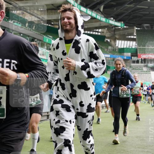 05.10.2025 - 20. swb-Marathon Bremen Michael Burmester http://msf.ph/oto/9331893 05.10.2025 13:05:42 Laufen im Stadion 190, 199, 406, 459, 520, 611, 678, 804, 817, 858, 924, 1023, 1147, 1154, 1228, 1283, 1404, 1410, 1455, 1480, 1545, 1610, 1702, 1840, 1867, 1990, 2058, 2187, 2190, 2198, 2199, 2285, 2422, 2437, 2604, 2671, 2698, 2748, 2785, 2902, 2919, 2935, 3025, 3049, 3317, 3368, 3378, 3380, 3450, 3479, 3799, 3809, 3837, 3853, 4055, 4207, 4326, 4332, 4376, 4563, 4641, 4643, 4665, 4676, 4766, 4831, 4855, 4892, 4904, 4983, 5166, 5176, 5362, 5382, 5614, 5693, 5824, 5904, 5945, 6283 meine-sportfotos.de