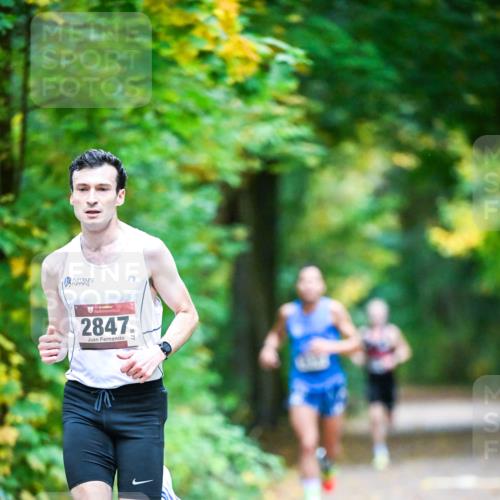 12.10.2025 - Bramfelder Halbmarathon 2025 Dr. Thomas Lammeyer http://msf.ph/oto/9340279 12.10.2025 09:45:18 Laufen 2847 meine-sportfotos.de
