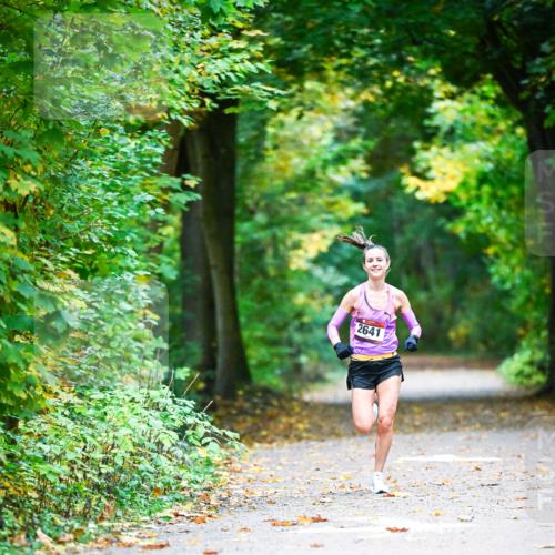 12.10.2025 - Bramfelder Halbmarathon 2025 Dr. Thomas Lammeyer http://msf.ph/oto/9340364 12.10.2025 09:46:24 Laufen 2641 meine-sportfotos.de
