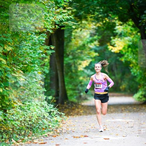 12.10.2025 - Bramfelder Halbmarathon 2025 Dr. Thomas Lammeyer http://msf.ph/oto/9340366 12.10.2025 09:46:24 Laufen 2641 meine-sportfotos.de