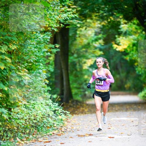 12.10.2025 - Bramfelder Halbmarathon 2025 Dr. Thomas Lammeyer http://msf.ph/oto/9340370 12.10.2025 09:46:25 Laufen 2641 meine-sportfotos.de