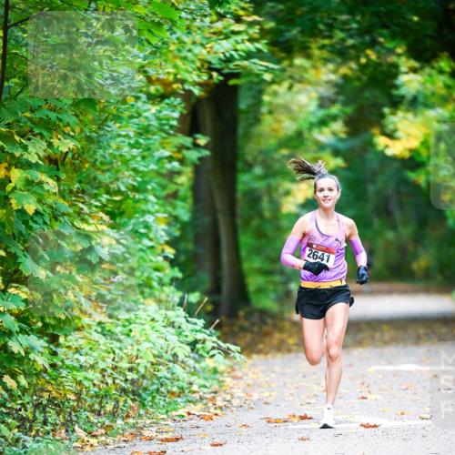 12.10.2025 - Bramfelder Halbmarathon 2025 Dr. Thomas Lammeyer http://msf.ph/oto/9340373 12.10.2025 09:46:25 Laufen 2641 meine-sportfotos.de