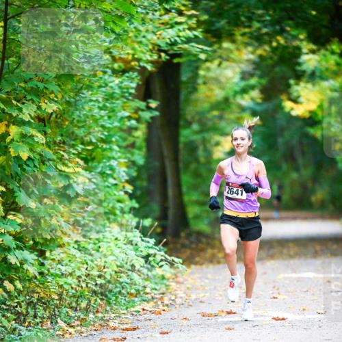 12.10.2025 - Bramfelder Halbmarathon 2025 Dr. Thomas Lammeyer http://msf.ph/oto/9340374 12.10.2025 09:46:25 Laufen 2641 meine-sportfotos.de