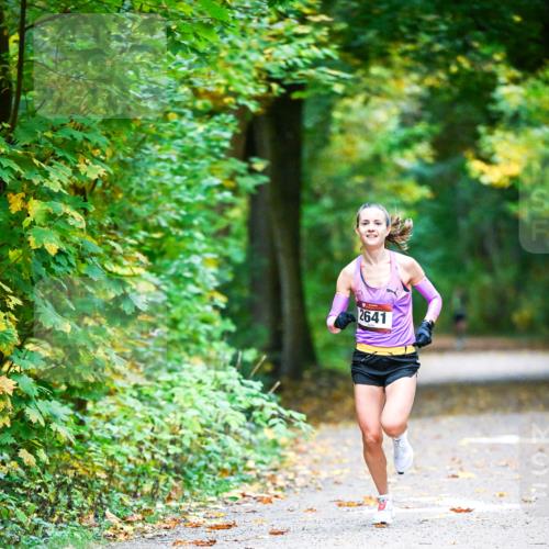 12.10.2025 - Bramfelder Halbmarathon 2025 Dr. Thomas Lammeyer http://msf.ph/oto/9340376 12.10.2025 09:46:26 Laufen 2641 meine-sportfotos.de