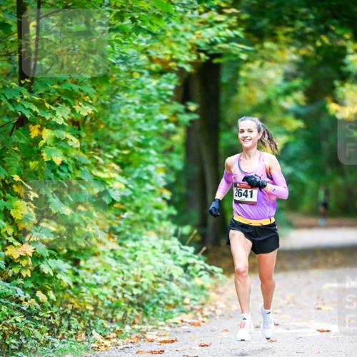 12.10.2025 - Bramfelder Halbmarathon 2025 Dr. Thomas Lammeyer http://msf.ph/oto/9340379 12.10.2025 09:46:26 Laufen 2641 meine-sportfotos.de
