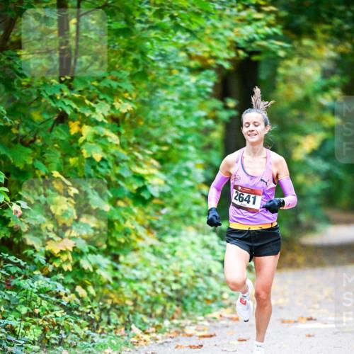 12.10.2025 - Bramfelder Halbmarathon 2025 Dr. Thomas Lammeyer http://msf.ph/oto/9340383 12.10.2025 09:46:27 Laufen 2641 meine-sportfotos.de