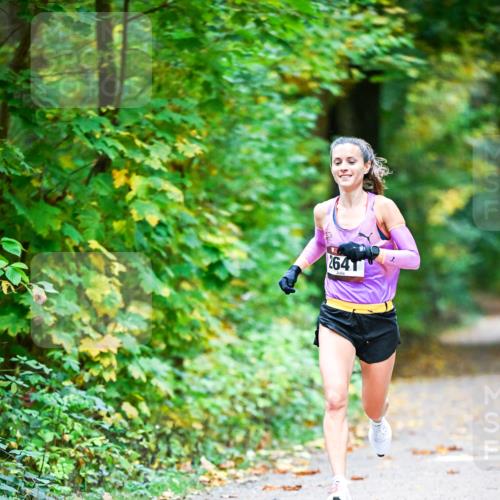 12.10.2025 - Bramfelder Halbmarathon 2025 Dr. Thomas Lammeyer http://msf.ph/oto/9340384 12.10.2025 09:46:27 Laufen 2641 meine-sportfotos.de