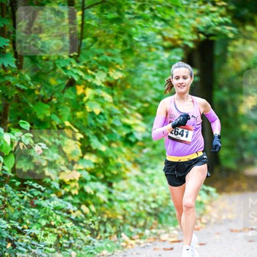 12.10.2025 - Bramfelder Halbmarathon 2025 Dr. Thomas Lammeyer http://msf.ph/oto/9340386 12.10.2025 09:46:27 Laufen 2641 meine-sportfotos.de