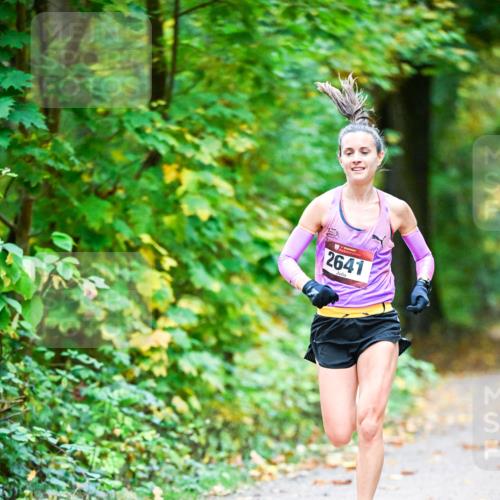 12.10.2025 - Bramfelder Halbmarathon 2025 Dr. Thomas Lammeyer http://msf.ph/oto/9340387 12.10.2025 09:46:27 Laufen 2641 meine-sportfotos.de
