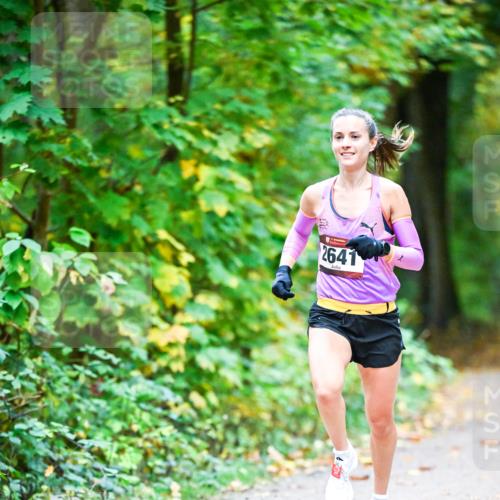 12.10.2025 - Bramfelder Halbmarathon 2025 Dr. Thomas Lammeyer http://msf.ph/oto/9340388 12.10.2025 09:46:27 Laufen 2641 meine-sportfotos.de