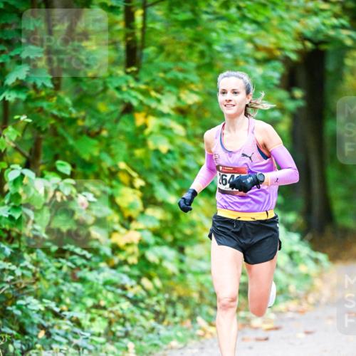 12.10.2025 - Bramfelder Halbmarathon 2025 Dr. Thomas Lammeyer http://msf.ph/oto/9340389 12.10.2025 09:46:27 Laufen 264 meine-sportfotos.de