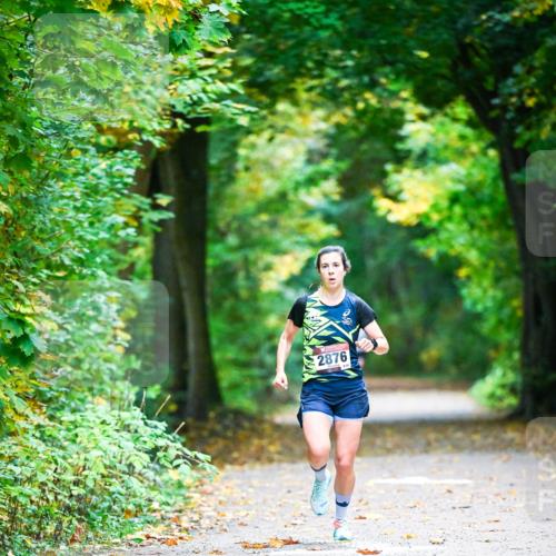 12.10.2025 - Bramfelder Halbmarathon 2025 Dr. Thomas Lammeyer http://msf.ph/oto/9340394 12.10.2025 09:46:50 Laufen 2876 meine-sportfotos.de