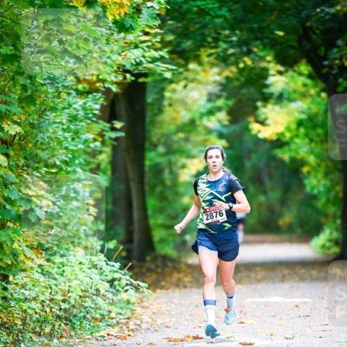 12.10.2025 - Bramfelder Halbmarathon 2025 Dr. Thomas Lammeyer http://msf.ph/oto/9340395 12.10.2025 09:46:50 Laufen 2876 meine-sportfotos.de