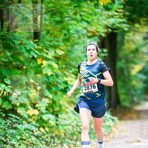12.10.2025 - Bramfelder Halbmarathon 2025 Dr. Thomas Lammeyer http://msf.ph/oto/9340410 12.10.2025 09:46:52 Laufen 2876, 44 meine-sportfotos.de