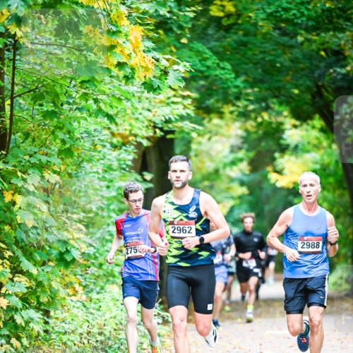 12.10.2025 - Bramfelder Halbmarathon 2025 Dr. Thomas Lammeyer http://msf.ph/oto/9340514 12.10.2025 09:47:52 Laufen 275, 2962, 2988 meine-sportfotos.de