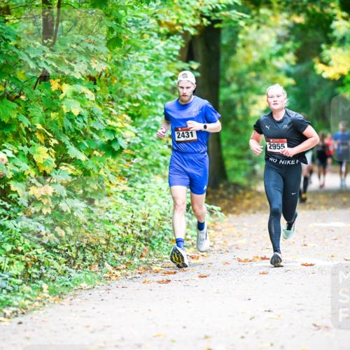 12.10.2025 - Bramfelder Halbmarathon 2025 Dr. Thomas Lammeyer http://msf.ph/oto/9340624 12.10.2025 09:48:42 Laufen 2431, 2955 meine-sportfotos.de