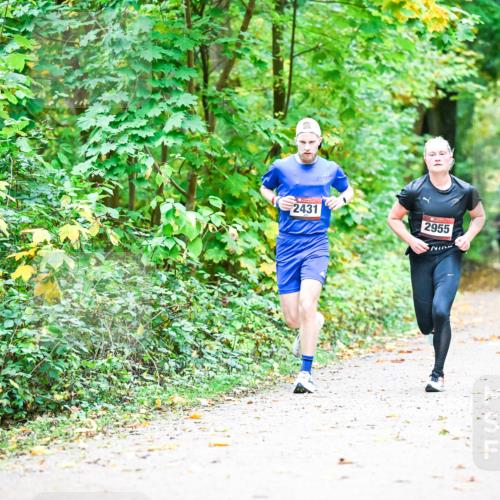 12.10.2025 - Bramfelder Halbmarathon 2025 Dr. Thomas Lammeyer http://msf.ph/oto/9340637 12.10.2025 09:48:44 Laufen 2431, 2955 meine-sportfotos.de
