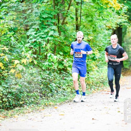 12.10.2025 - Bramfelder Halbmarathon 2025 Dr. Thomas Lammeyer http://msf.ph/oto/9340638 12.10.2025 09:48:44 Laufen 2431, 2955 meine-sportfotos.de