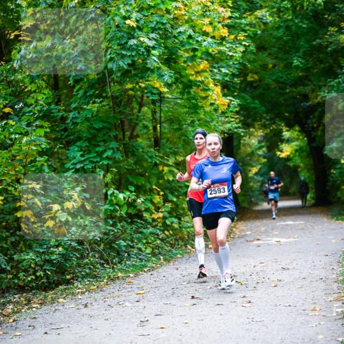 12.10.2025 - Bramfelder Halbmarathon 2025 Dr. Thomas Lammeyer http://msf.ph/oto/9340726 12.10.2025 09:49:07 Laufen 2593 meine-sportfotos.de
