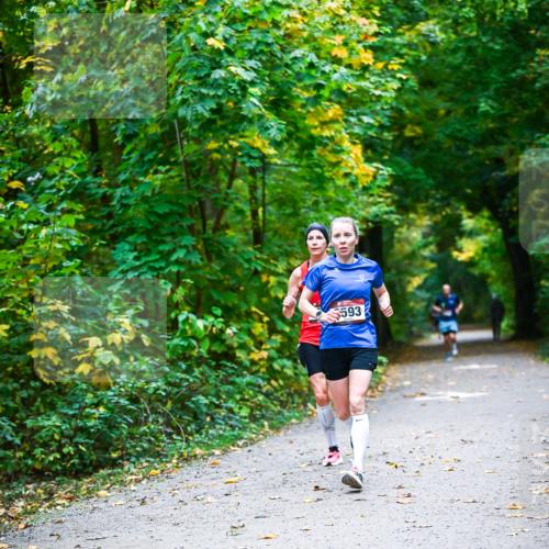 12.10.2025 - Bramfelder Halbmarathon 2025 Dr. Thomas Lammeyer http://msf.ph/oto/9340727 12.10.2025 09:49:07 Laufen 593 meine-sportfotos.de