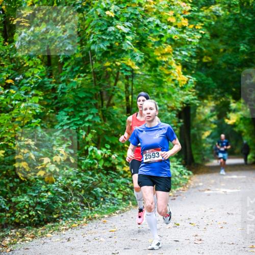 12.10.2025 - Bramfelder Halbmarathon 2025 Dr. Thomas Lammeyer http://msf.ph/oto/9340730 12.10.2025 09:49:08 Laufen 2593 meine-sportfotos.de