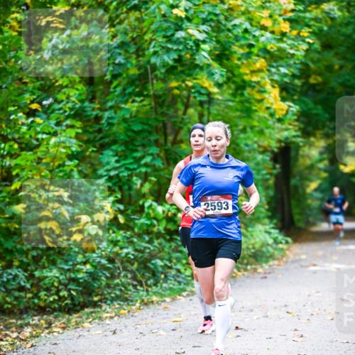12.10.2025 - Bramfelder Halbmarathon 2025 Dr. Thomas Lammeyer http://msf.ph/oto/9340732 12.10.2025 09:49:08 Laufen 2593 meine-sportfotos.de