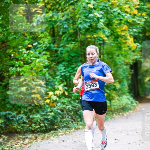 12.10.2025 - Bramfelder Halbmarathon 2025 Dr. Thomas Lammeyer http://msf.ph/oto/9340734 12.10.2025 09:49:08 Laufen 2593 meine-sportfotos.de