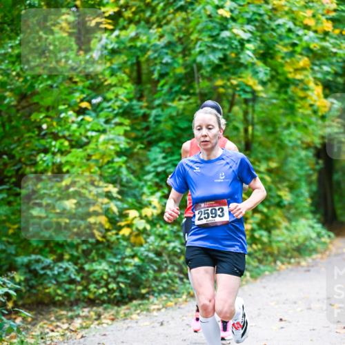 12.10.2025 - Bramfelder Halbmarathon 2025 Dr. Thomas Lammeyer http://msf.ph/oto/9340735 12.10.2025 09:49:08 Laufen 2593 meine-sportfotos.de
