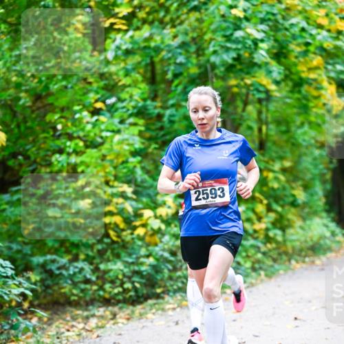 12.10.2025 - Bramfelder Halbmarathon 2025 Dr. Thomas Lammeyer http://msf.ph/oto/9340736 12.10.2025 09:49:09 Laufen 2593 meine-sportfotos.de