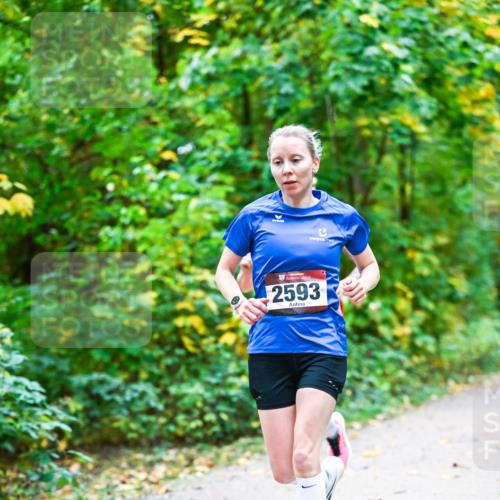 12.10.2025 - Bramfelder Halbmarathon 2025 Dr. Thomas Lammeyer http://msf.ph/oto/9340737 12.10.2025 09:49:09 Laufen 2593 meine-sportfotos.de