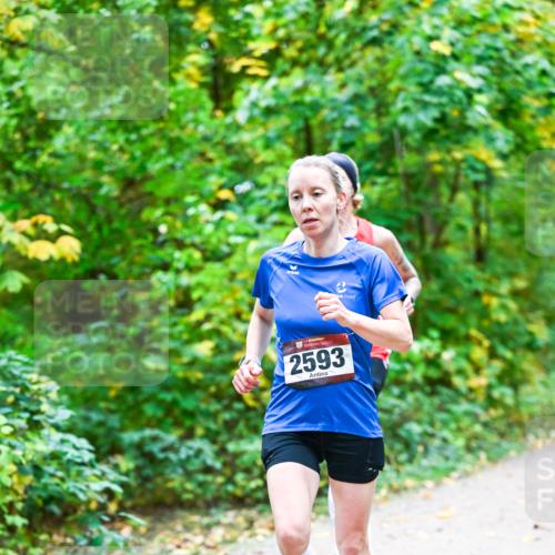 12.10.2025 - Bramfelder Halbmarathon 2025 Dr. Thomas Lammeyer http://msf.ph/oto/9340738 12.10.2025 09:49:09 Laufen 2593 meine-sportfotos.de