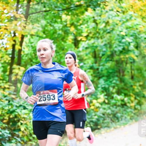 12.10.2025 - Bramfelder Halbmarathon 2025 Dr. Thomas Lammeyer http://msf.ph/oto/9340739 12.10.2025 09:49:09 Laufen 2593 meine-sportfotos.de