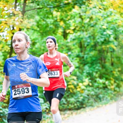 12.10.2025 - Bramfelder Halbmarathon 2025 Dr. Thomas Lammeyer http://msf.ph/oto/9340740 12.10.2025 09:49:09 Laufen 2633, 2593 meine-sportfotos.de