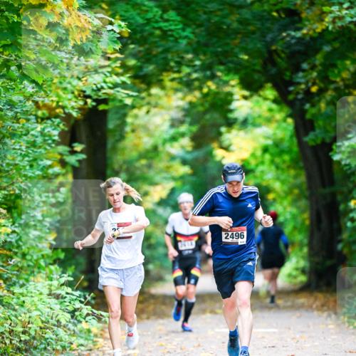 12.10.2025 - Bramfelder Halbmarathon 2025 Dr. Thomas Lammeyer http://msf.ph/oto/9340803 12.10.2025 09:49:35 Laufen 2496 meine-sportfotos.de