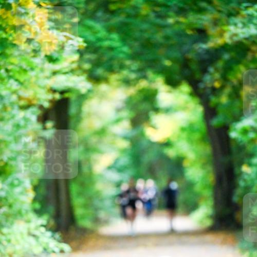 12.10.2025 - Bramfelder Halbmarathon 2025 Dr. Thomas Lammeyer http://msf.ph/oto/9340843 12.10.2025 09:49:42 Laufen  meine-sportfotos.de