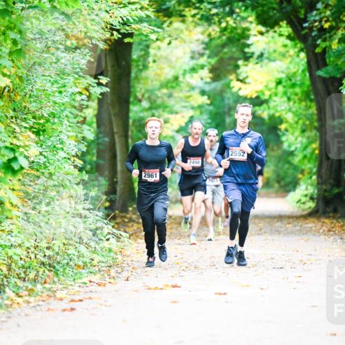 12.10.2025 - Bramfelder Halbmarathon 2025 Dr. Thomas Lammeyer http://msf.ph/oto/9340877 12.10.2025 09:49:59 Laufen 2961, 2498, 2552, 2554 meine-sportfotos.de