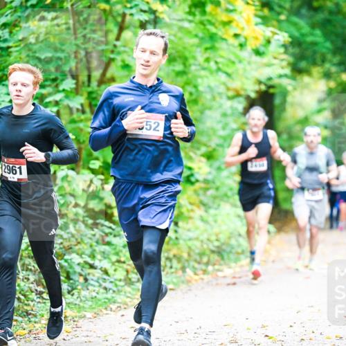 12.10.2025 - Bramfelder Halbmarathon 2025 Dr. Thomas Lammeyer http://msf.ph/oto/9340914 12.10.2025 09:50:04 Laufen 2961, 70, 52, 24 meine-sportfotos.de