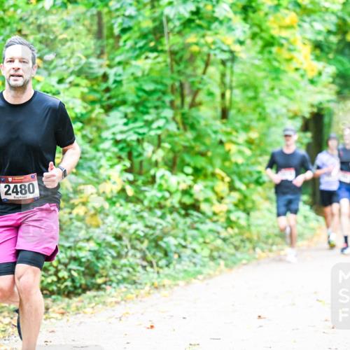 12.10.2025 - Bramfelder Halbmarathon 2025 Dr. Thomas Lammeyer http://msf.ph/oto/9341115 12.10.2025 09:50:46 Laufen 2480 meine-sportfotos.de