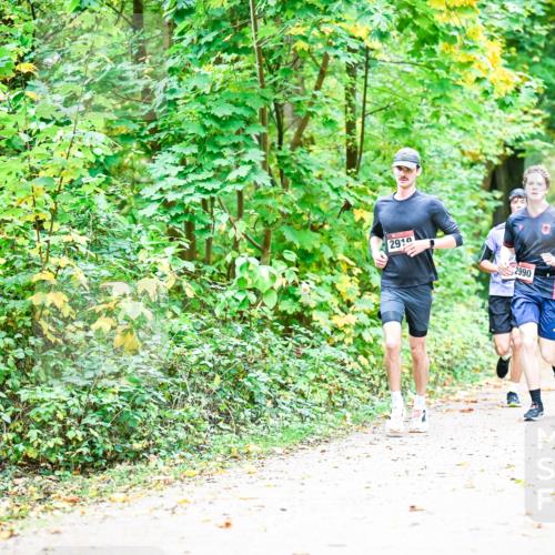 12.10.2025 - Bramfelder Halbmarathon 2025 Dr. Thomas Lammeyer http://msf.ph/oto/9341118 12.10.2025 09:50:47 Laufen 2910, 2990 meine-sportfotos.de