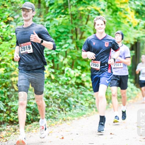 12.10.2025 - Bramfelder Halbmarathon 2025 Dr. Thomas Lammeyer http://msf.ph/oto/9341134 12.10.2025 09:50:50 Laufen 2919, 31, 2990, 2561 meine-sportfotos.de