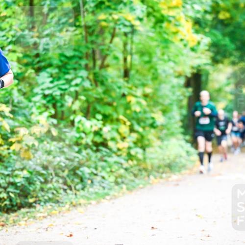 12.10.2025 - Bramfelder Halbmarathon 2025 Dr. Thomas Lammeyer http://msf.ph/oto/9341175 12.10.2025 09:50:56 Laufen 2, 2708, 13 meine-sportfotos.de