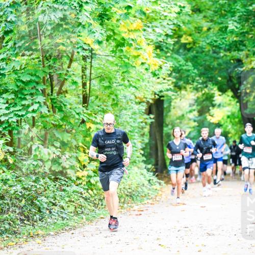 12.10.2025 - Bramfelder Halbmarathon 2025 Dr. Thomas Lammeyer http://msf.ph/oto/9341180 12.10.2025 09:51:02 Laufen  meine-sportfotos.de