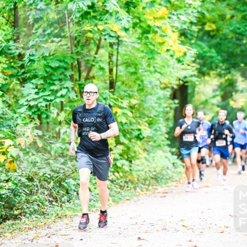 12.10.2025 - Bramfelder Halbmarathon 2025 Dr. Thomas Lammeyer http://msf.ph/oto/9341188 12.10.2025 09:51:03 Laufen 2515 meine-sportfotos.de