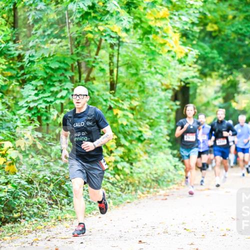 12.10.2025 - Bramfelder Halbmarathon 2025 Dr. Thomas Lammeyer http://msf.ph/oto/9341189 12.10.2025 09:51:03 Laufen 2171 meine-sportfotos.de