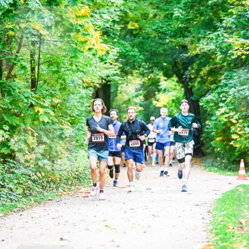 12.10.2025 - Bramfelder Halbmarathon 2025 Dr. Thomas Lammeyer http://msf.ph/oto/9341192 12.10.2025 09:51:04 Laufen 2915, 2895, 2575 meine-sportfotos.de