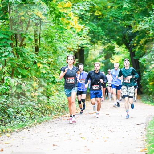 12.10.2025 - Bramfelder Halbmarathon 2025 Dr. Thomas Lammeyer http://msf.ph/oto/9341195 12.10.2025 09:51:05 Laufen 2915, 2699, 2575, 2895 meine-sportfotos.de